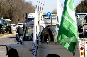 Confagricoltura, Agrinsieme